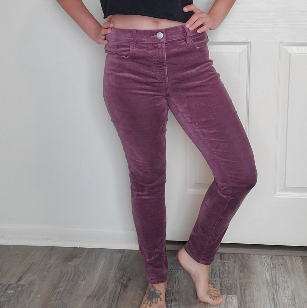 LOFT Outlet Soft Velvety Pants